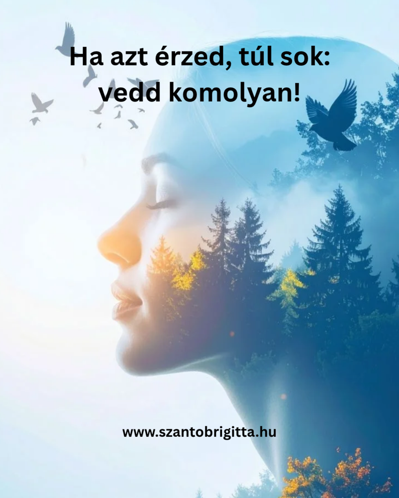 K�p - Ha azt �rzed, t�l sok